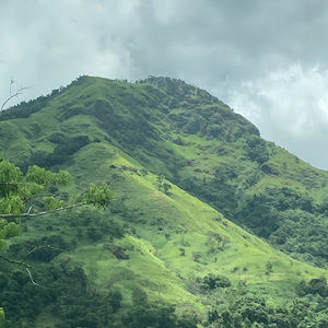 Meet your Posher, Cole